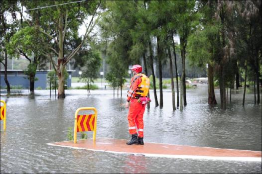 Illawarra at Wharf Rd10