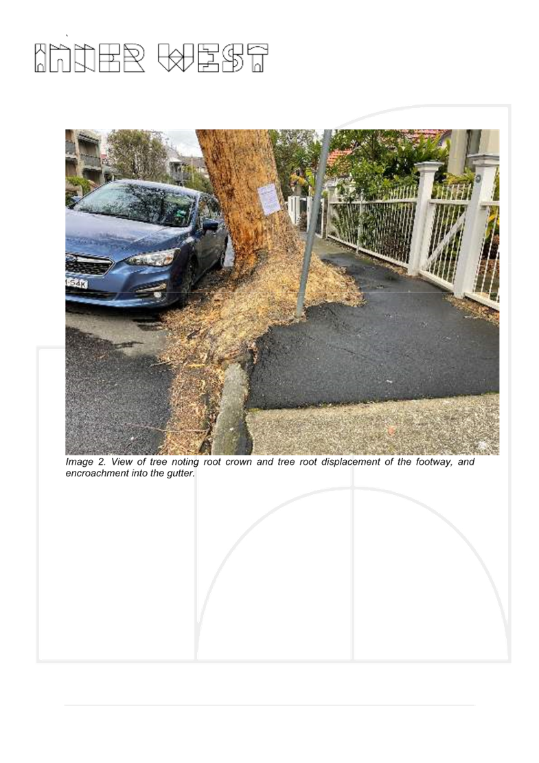 A car parked next to a tree

AI-generated content may be incorrect.