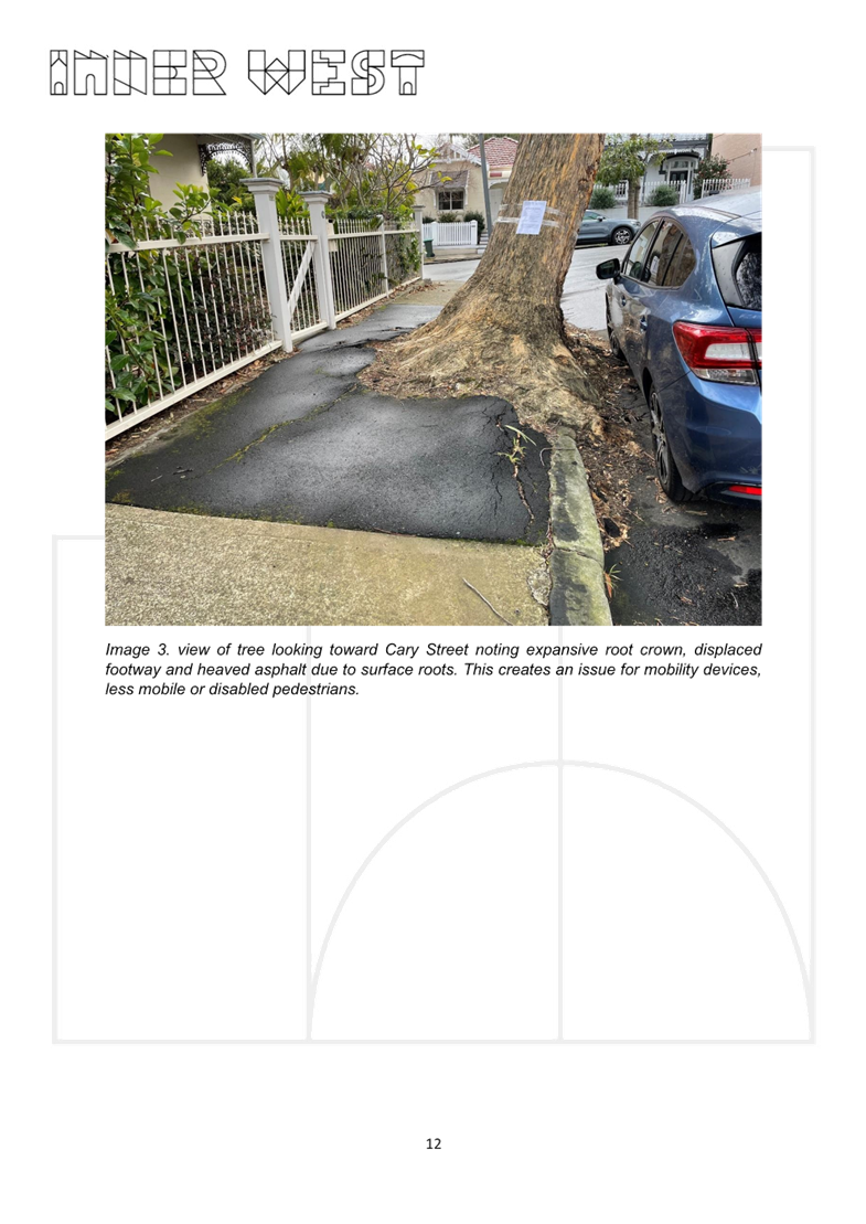 A tree with a sign on it

AI-generated content may be incorrect.