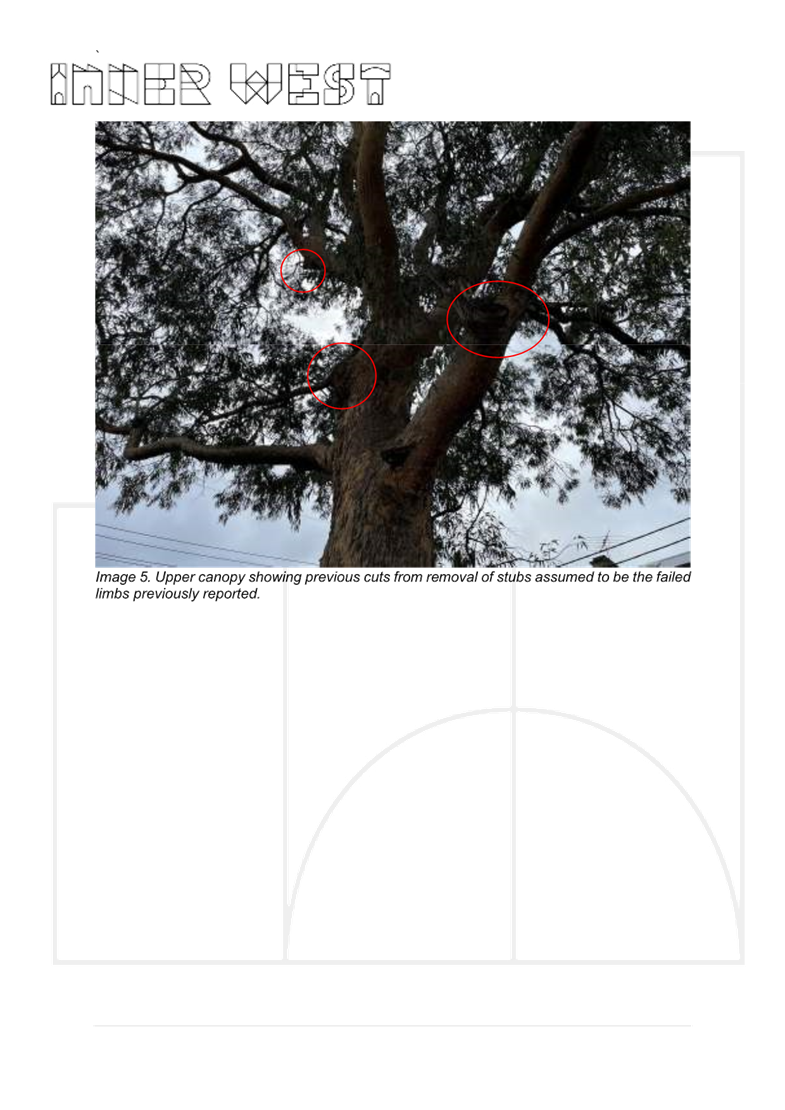 A screenshot of a tree

AI-generated content may be incorrect.