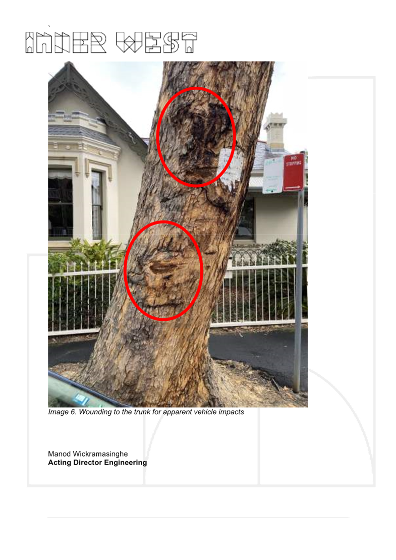 A tree trunk with red circles

AI-generated content may be incorrect.