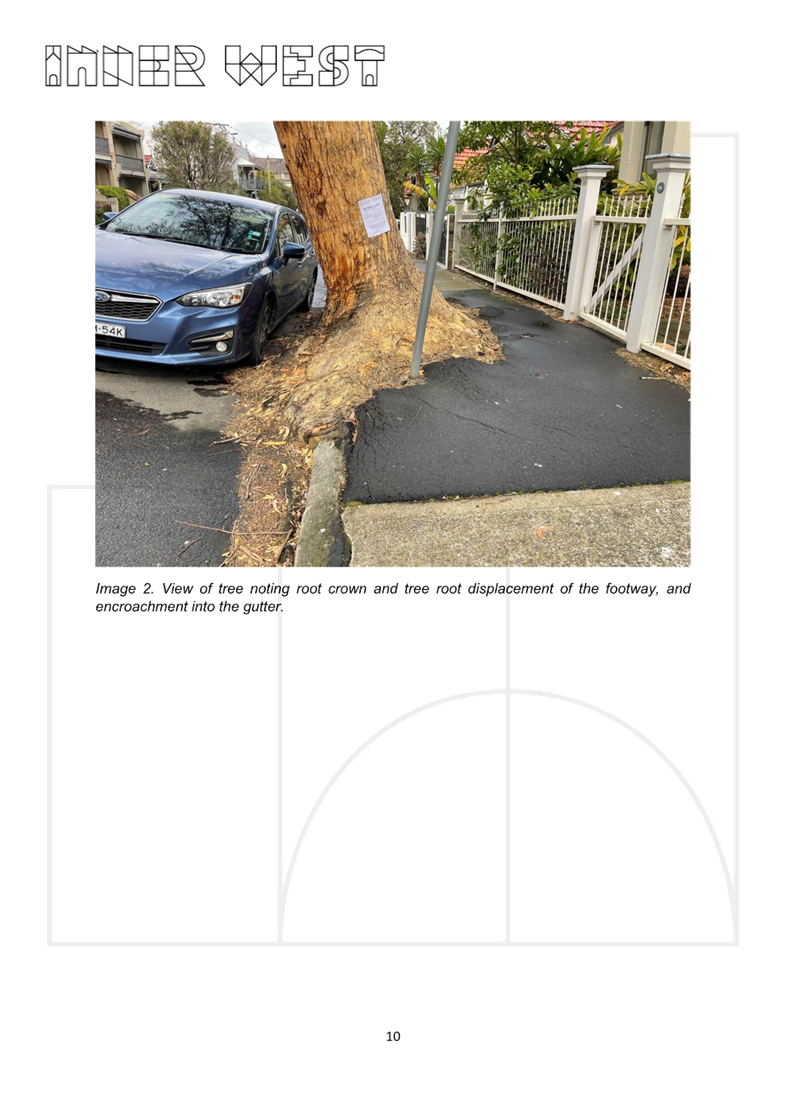 A tree with a sign on the side of it

AI-generated content may be incorrect.