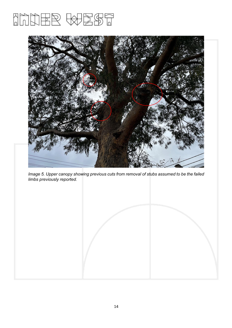 A screenshot of a tree

AI-generated content may be incorrect.