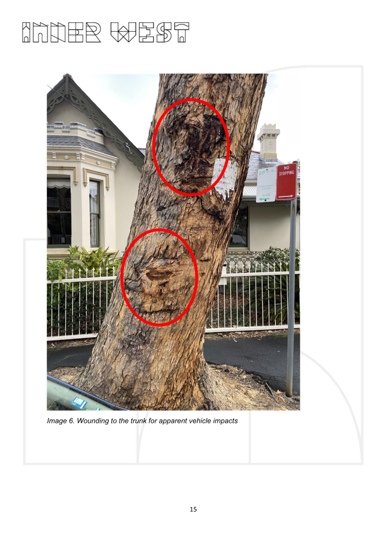 A tree trunk with red circles

AI-generated content may be incorrect.