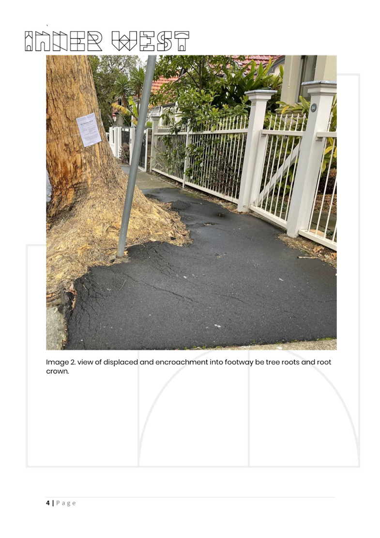 A white fence and a tree

AI-generated content may be incorrect.