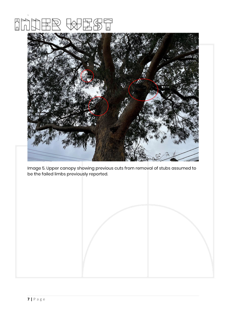 A screenshot of a tree

AI-generated content may be incorrect.