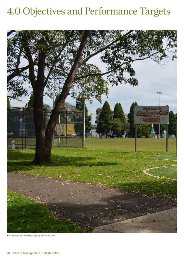 A tree in a park

AI-generated content may be incorrect.
