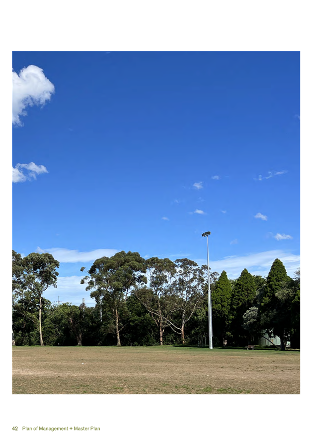 A field with trees and a light post

AI-generated content may be incorrect.