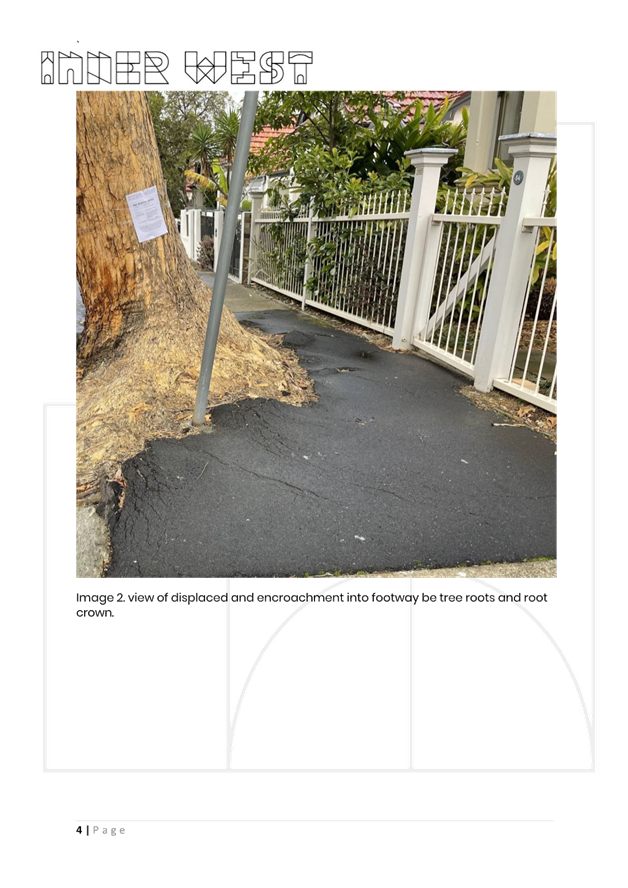 A white fence and a tree

AI-generated content may be incorrect.