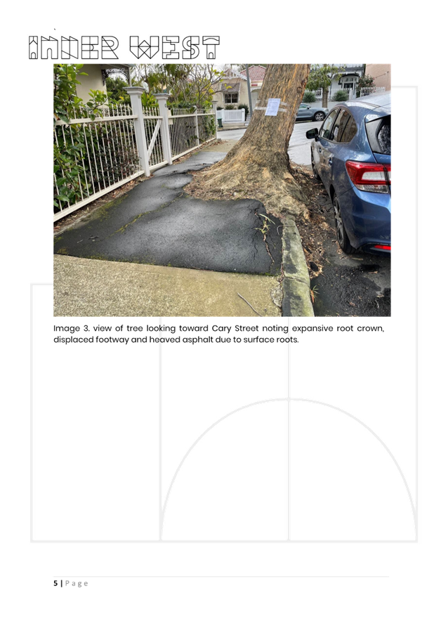 A tree with a sign on it

AI-generated content may be incorrect.