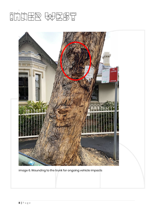 A tree trunk with a red circle in the middle

AI-generated content may be incorrect.